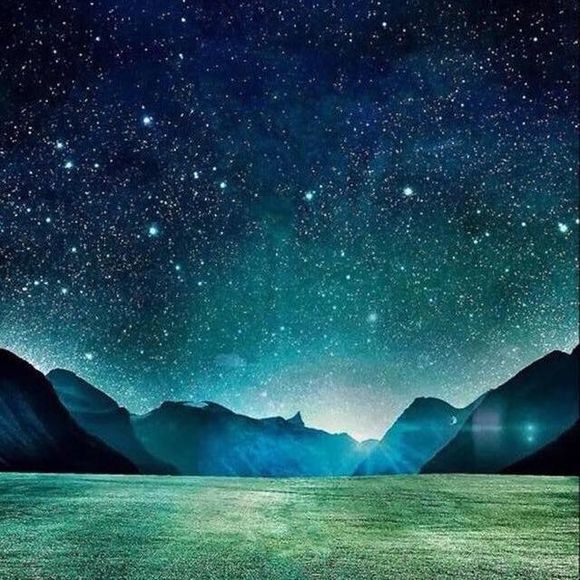 Meet your Posher, Alina - Picture 1 of 1